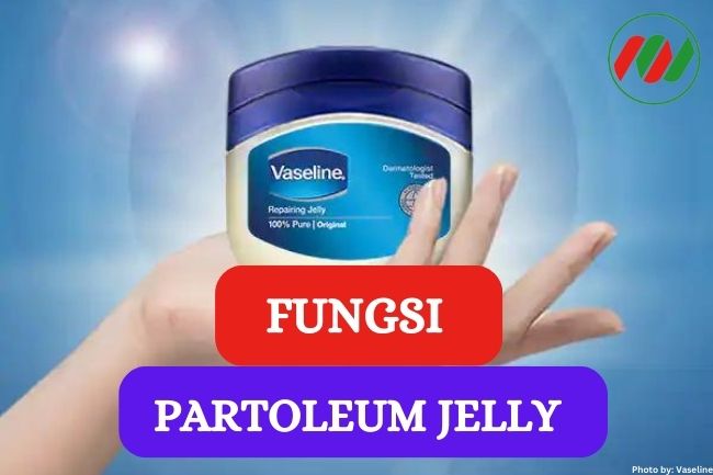 10 Fungsi Patroleum Jelly untuk Kesehatan Kulit